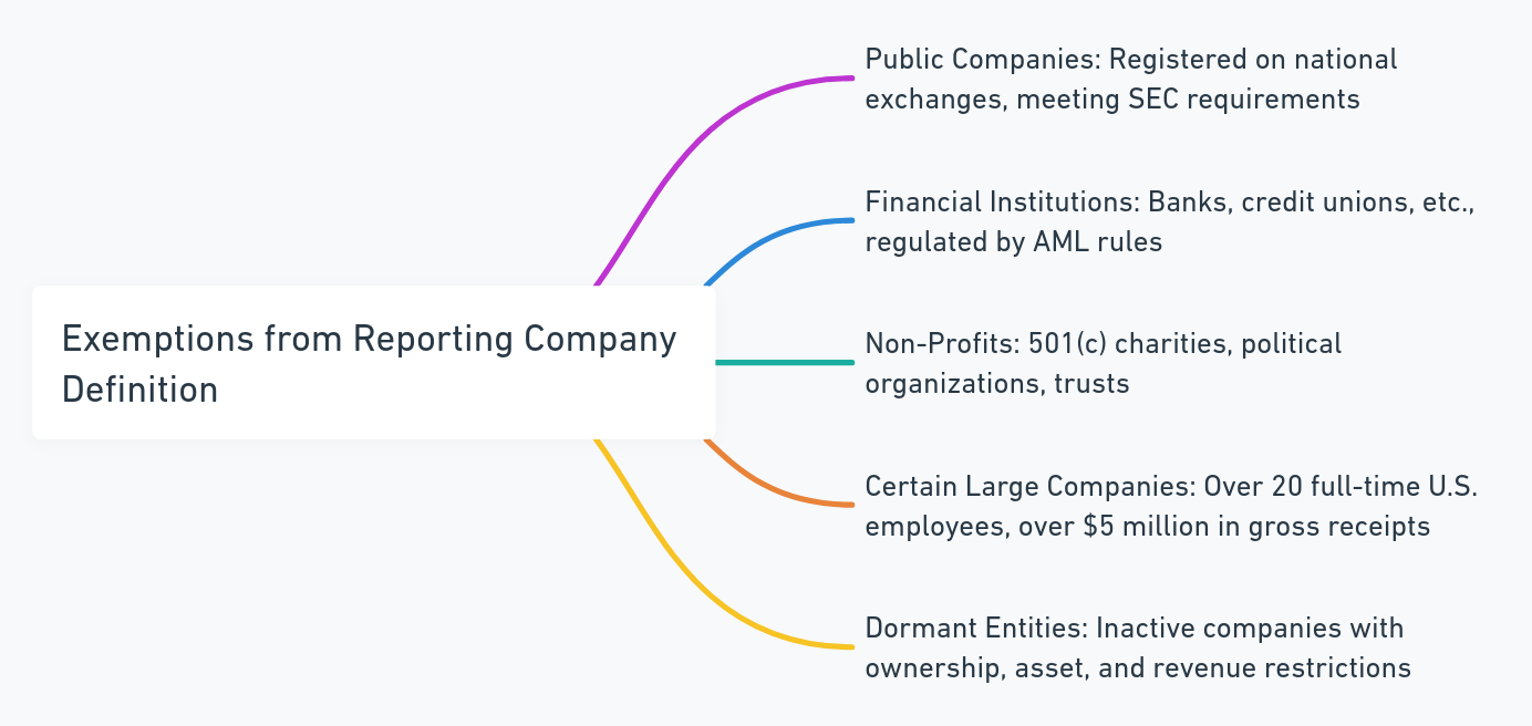 2024's New Corporate Transparency Law What Every Business Must Know