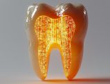 Glowing tooth model with digital binary code inside